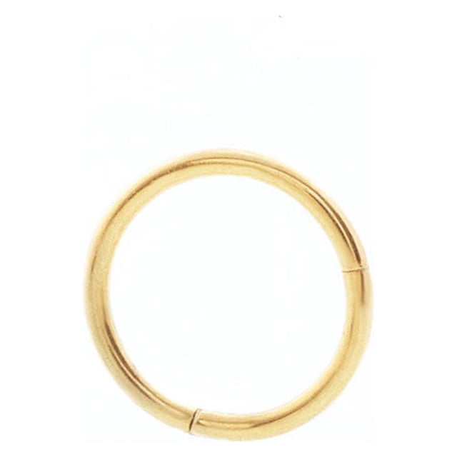 ZZwxWA Holiday Saving Seamless Hinged Segment Sleeper Clicker Ring Hoop Ear Lip Nose Septum Piercing