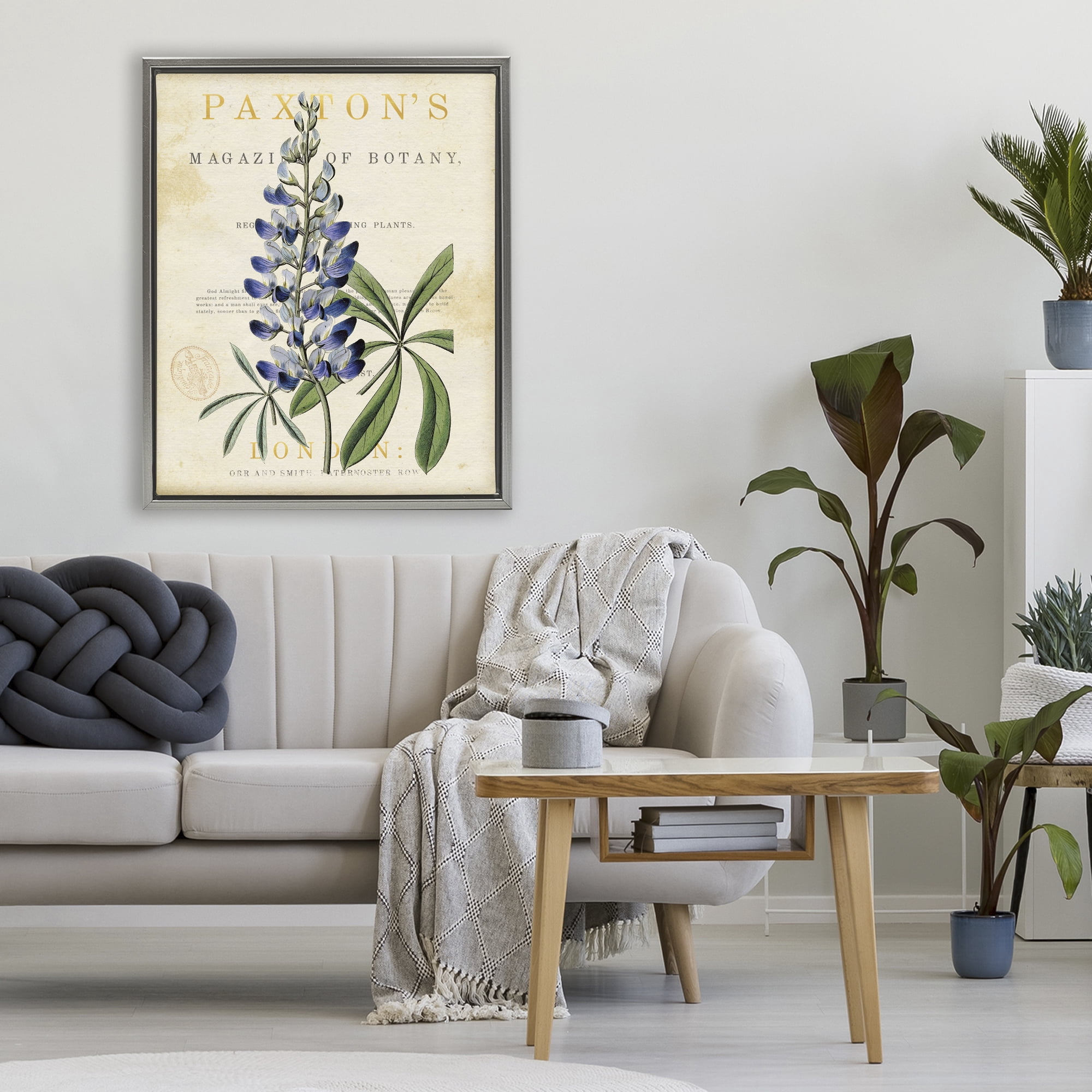 Stupell Industries Natural Botany Lupine Gray Framed Floater Canvas Wall Art, design by Susan Arnot