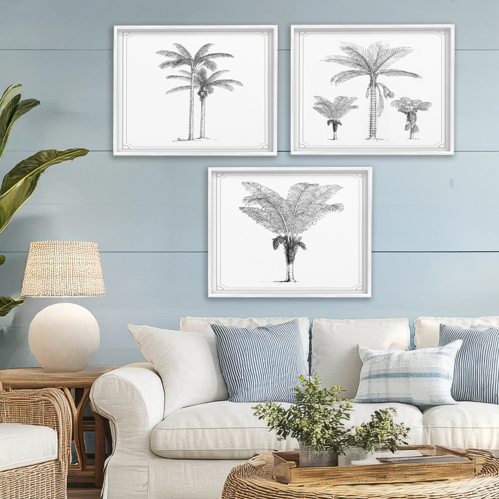 Minimal Vintage Palm Tree Sketches 3 Piece White Framed Giclee Art Set, design by Lettered and Lined
