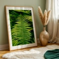 thumbnail image 6 of Ferns 02 - Manhattan New York Photography Botanical Nature Floral Forest Tropical Scenic Unframed Wall Art Print 8 x 12 inches, 6 of 60