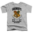 thumbnail image 2 of Harry Potter Hogwarts School Of Witchcraft Kids T Shirt (2) for Youth Toddler Boys and Girls, Athletic Heather, 2 of 5