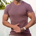 thumbnail image 4 of PNTUTB Summer Men's Solid Vertical Stripe Stretch Crew Neck Pullover Casual Sports Fitness Short Sleeve T Shirt, 4 of 6