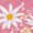 Rose Red, variant on UNISHE Women's Spring Daisy Bouquet V-Neck Sleeveless T-Shirt S-5XL Leisure Tank Top