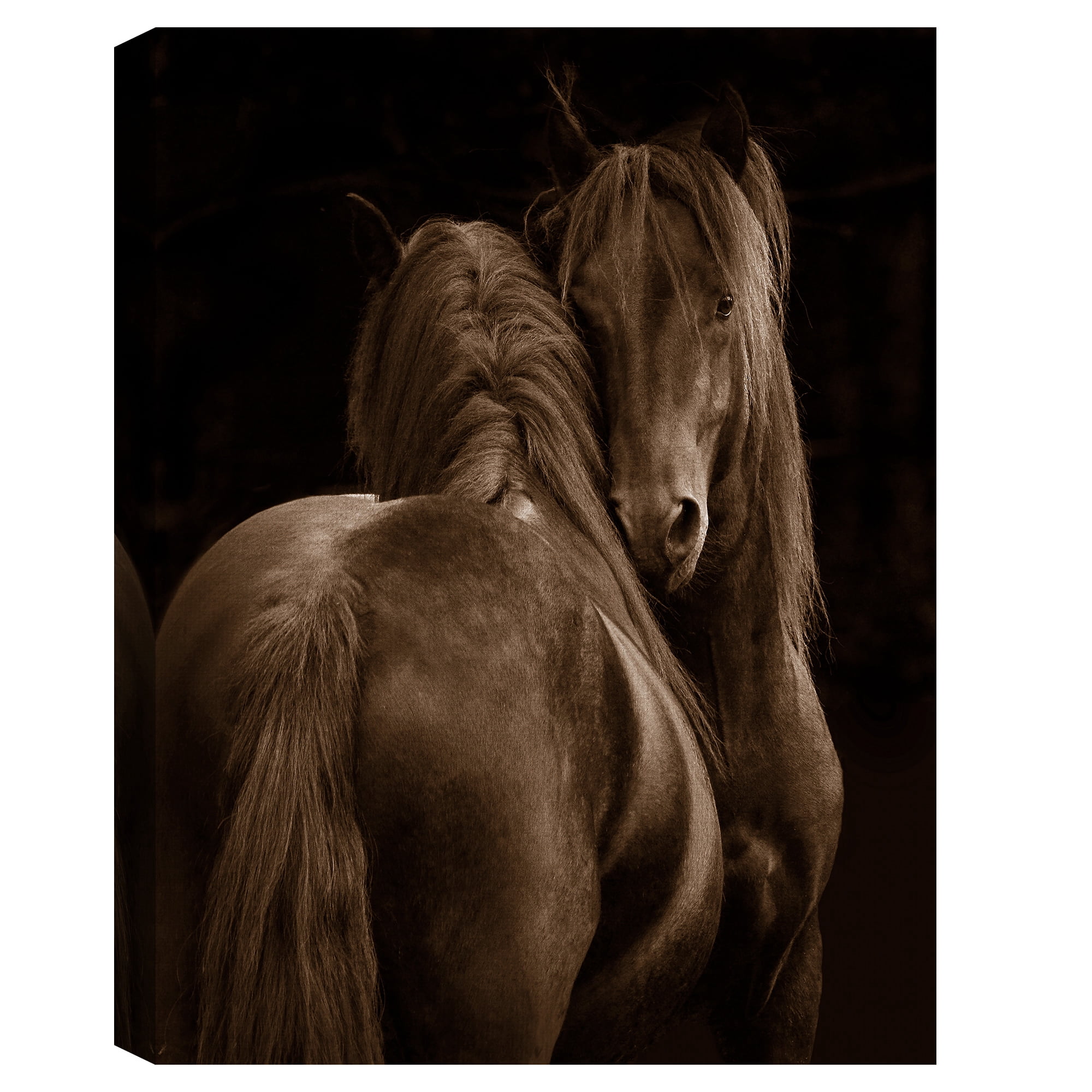 Masterpiece Art Gallery Horse Loving Tenderness by Tony Stromberg Canvas Photo Art Print 30" x 40"