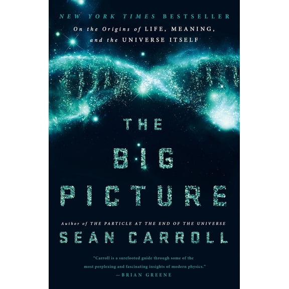 Pre-Owned The Big Picture: On the Origins of Life, Meaning, and the Universe Itself (Hardcover) 0525954821 9780525954828