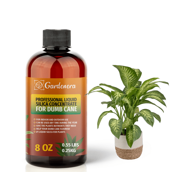 β PREMIUM Bioavailable Silica Fertilizer for Dumb Cane β 8oz β Ideal for Hydroponics & Soil β Healthier Plants with Strong Stalks - CONCENTRATE