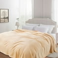 thumbnail image 5 of Yeciiwht Super Soft Warm Solid Warm Fleece Blanket, Comforter Blankets Twin/Twin XL, Reversible Lightweight Microfiber All Season Blanket, 39x59in, 5 of 6
