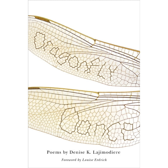 American Indian Studies: Dragonfly Dance (Paperback)