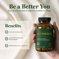 thumbnail image 5 of Global Healing Center Oxy-Powder Oxygen Based Safe and Natural Colon Cleanser and Relief from Occasional Constipation 120 Capsules, 5 of 8