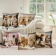 thumbnail image 1 of Juego de Cojines con Estampado de Animales Adorables de 45X45 Cm para Sofá o Sala de Estar | Material Aterciopelado Multicolor | Decoración para Otoño y Acción de Gracias | Uso Interior/Exterior | Cr, 1 of 6