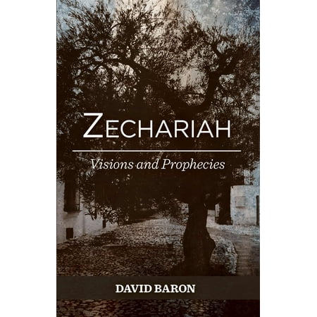 visions zechariah prophets