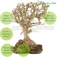 thumbnail image 3 of Bonsai Driftwood Aquarium Natrual Tree Fish Tank Decoration 5-in-BSS, Helps Balance Water pH Levels, Stabilizes Environments, 3 of 3