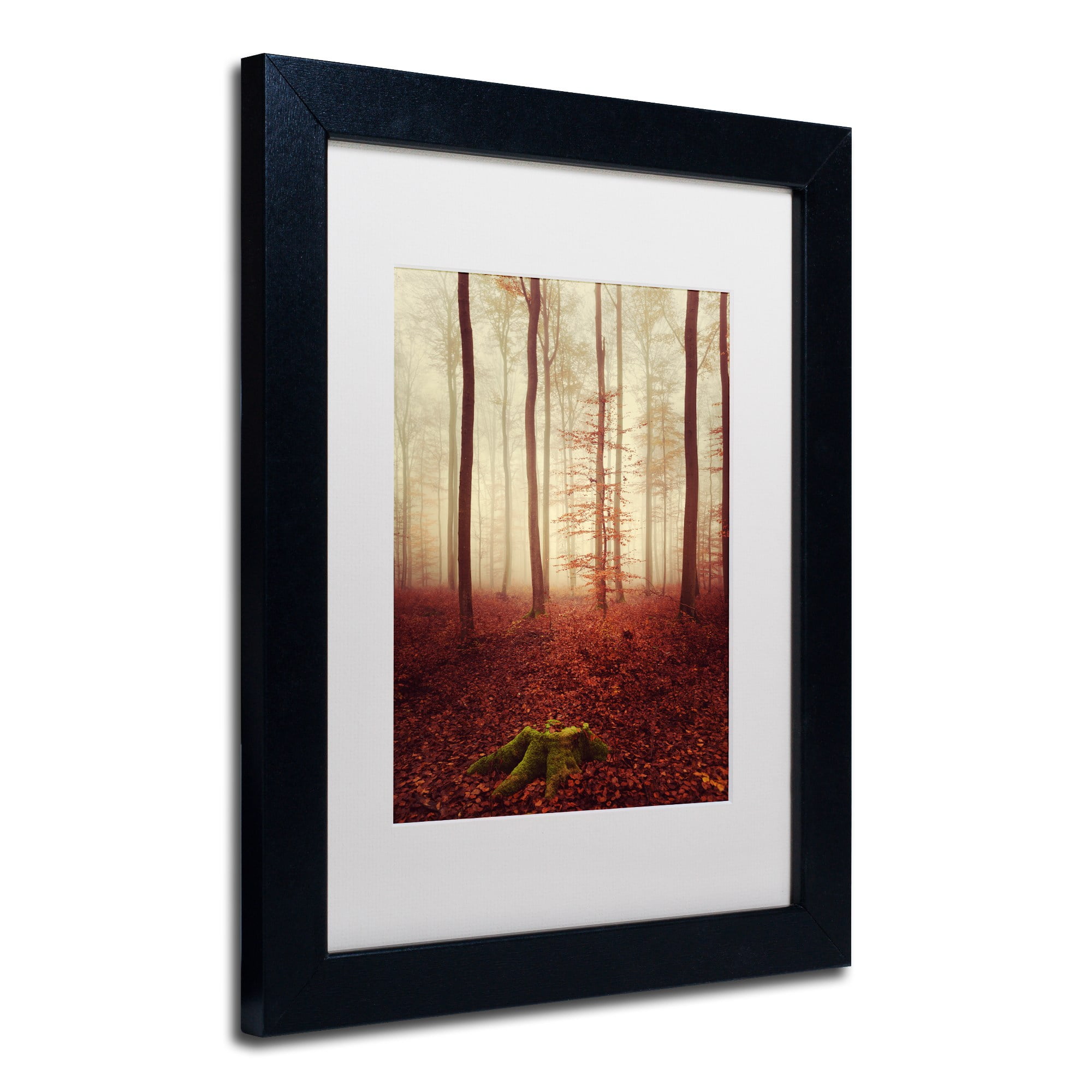 Trademark Fine Art "Land of the Free" Canvas Art by Philippe Sainte-Laudy White Matte, Black Frame