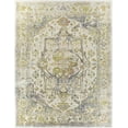 thumbnail image 3 of Hauteloom Ansley Living Room, Bedroom Area Rug - Traditional Oriental Medallion Vintage Carpet - Green, Olive, Pink, Cream - 5'3" x 7'3", 3 of 8