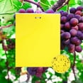 thumbnail image 1 of 30 Packs Dual-Sided Yellow Sticky Traps, Fruit Fly Traps for Indoor Outdoor Use Capturing Plant Insects, Like Flying Aphid, Whiteflies, Other Flying Plant Insects (8x10 Inches), 1 of 7