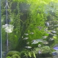 thumbnail image 4 of AURARMLET 2Set Fish Bowl Plastic Transparent Acrylic For Pet Owners Use, 4 of 6