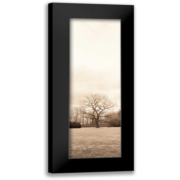 Blaustein, Alan 7x14 Black Modern Framed Museum Art Print Titled - Chestnut Tree