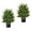 Green Cedar Tree, variant on 22" Artificial Boxwood Topiary Ball Trees, Sun Resistant Faux Potted Plants with Fruits, Decorative Fake Shrubs Bushes with Cement Pot, Topiary Trees Artificial for Outdoor Indoor Set of 2