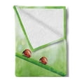 thumbnail image 2 of Ladybugs Soft Flannel Fleece Throw Blanket, Ladybugs on a Stem over the Water Striped Animals Fresh Environmental Life Image, Cozy Plush for Indoor and Outdoor Use, 50" x 60", Red Green, by Ambesonne, 2 of 5