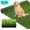 Spring Green, variant on Petoto 3.3ft x 33ft Realistic Artificial Grass Turf Lawn, Indoor Outdoor Garden Lawn Landscape Synthetic Grass Mat Fake Grass Rug, Thick Faux Grass Rug Carpet for Pets