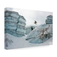 thumbnail image 4 of Tristan Shu 'Out Of Nowhere Into Nowhere' Canvas Art, 4 of 4