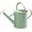 Cream Green, variant on Zinc 1 Gallon Galvanized Steel Watering Can for Garden, Metal Water Pot with Stainless Steel Handgrip & Removable Spout, For Patio, Indoor and Outdoor Plants