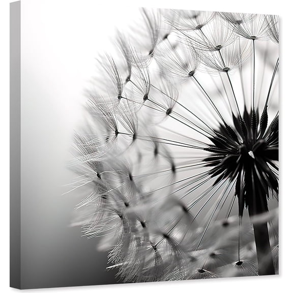ZHONGYUTONG Dandelion Canvas Wall Art Black White Flower Painting Floral Closeup Picture Print for Living Room Decor Framed (12.00" x 12.00")