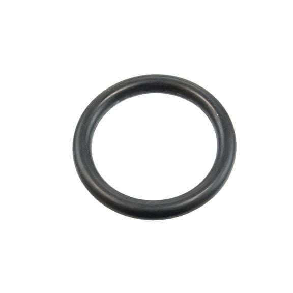 BRP 420631640 OEM Engine O-Ring Can-Am 2003-18 Outlander Renegade MAX 570 650 850 1000R