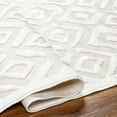 thumbnail image 3 of Hauteloom Burl Living Room, Bedroom Patio Outdoor Area Rug - Contemporary - Off White, White - 6'7" x 9', 3 of 8