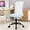 White, variant on Dkelincs Armless Office Chair Mesh Desk Chair Adjustable Computer Chair Task Rolling Chair with Quiet 360°Swivel Wheels for Adults, White
