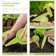 thumbnail image 3 of LOLIPPYY 1Jgo Plástico Para Jardín Uso Exterior Fácil Y Duradero, 3 of 8
