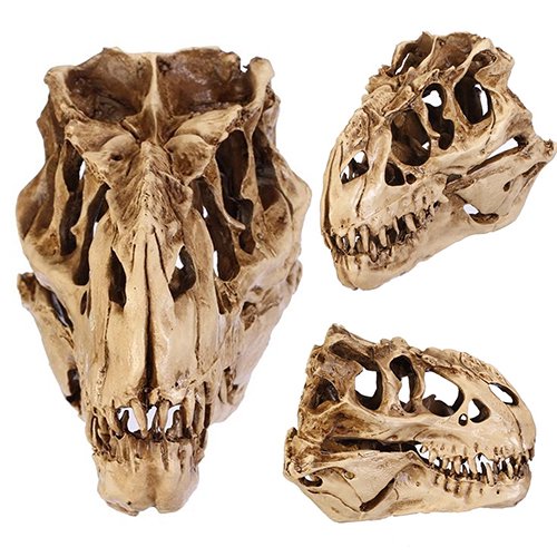 Lubelski Resin Dinosaur Skull Fossils Teaching Skeleton Model Halloween Festival Decor