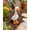 6.3in#1, variant on Porch Goose Statue Large Resin Realistic Cement Finished Lawn Ornament Garden Decor Front Yard Backyard Outdoor Durable Plastic Art for Patio Decorations Geese Animal Sculpture Gift