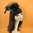 thumbnail image 2 of Fascinator Clip Veil: Fascinator Fascinator Fascinator Fascinator Fascinator, 2 of 9