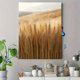 thumbnail image 4 of Qisvanset Framed Canvas Wall Art 12x16 Inch Golden Wheat Field Modern Farmhouse Nature Wall Art, 4 of 5