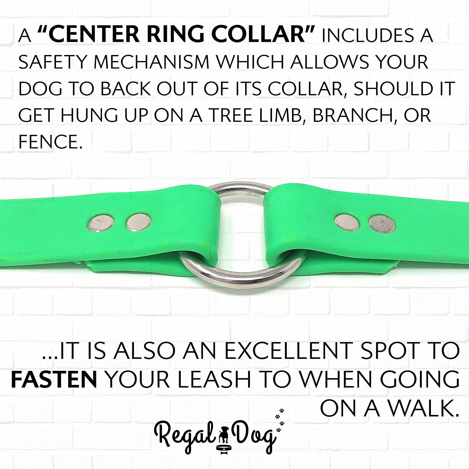 Regal Dog Products Waterproof Collar Heavy Duty Center Ring with D ring