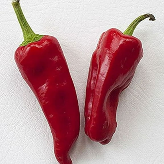 Sherwood's Seeds Aleppo Halaby Syrian Chile Hot Pepper Seeds, Premium
