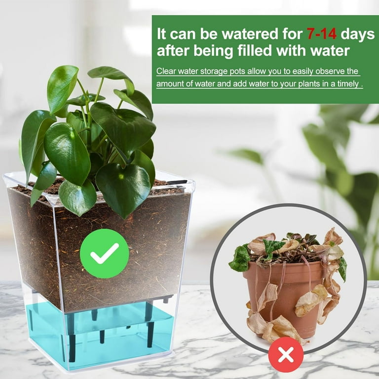 transparent plant pot Clear Nursery Pot  Root-Loving Plant Care