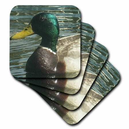 

Mallard Duck Glistening set of 4 Coasters - Soft cst-22251-1