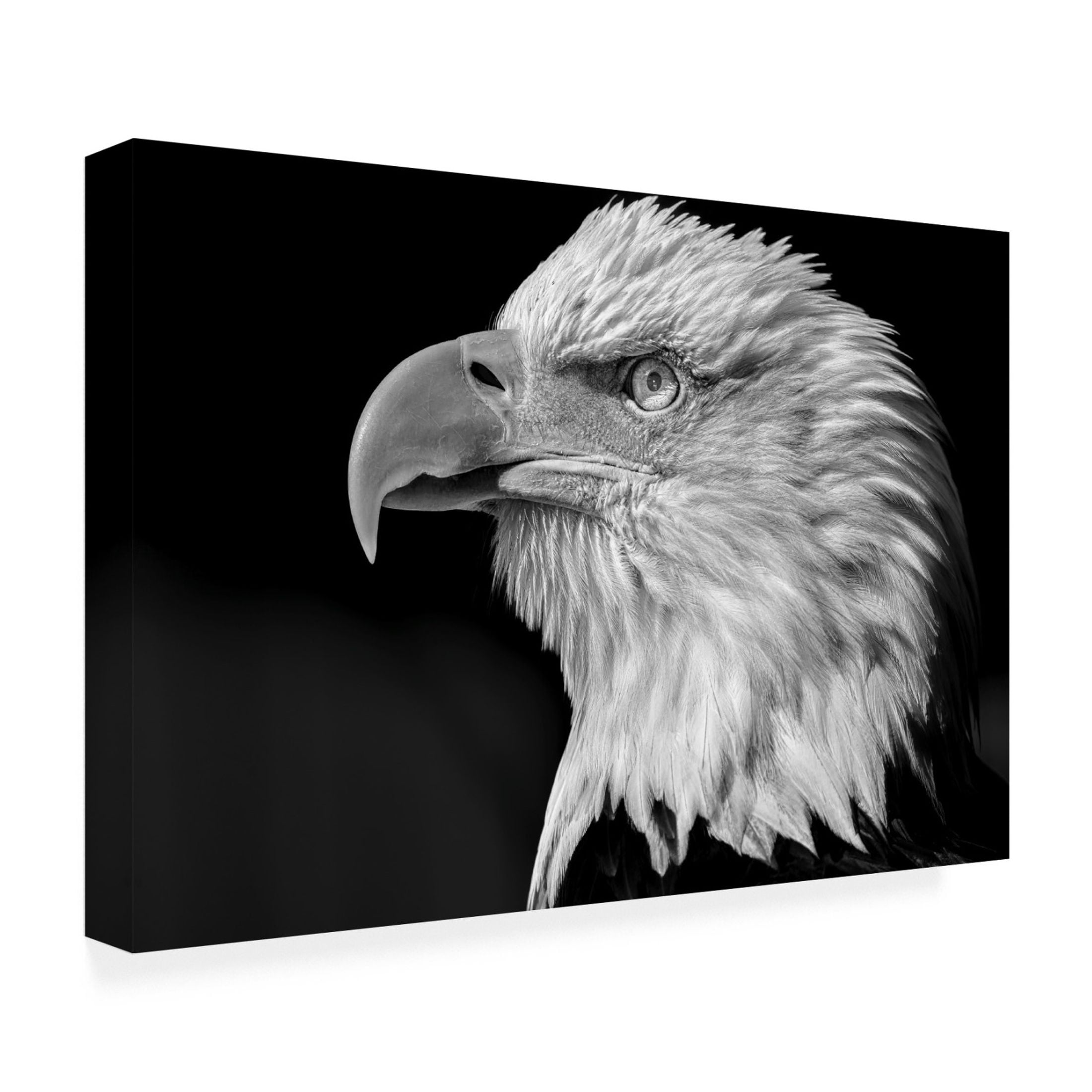 Trademark Fine Art Martin Bisaillon The eye Canvas Wall Art