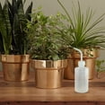 thumbnail image 3 of Paquete de 3 botellas de agua suculentas 250ML planta flor suculenta riego TFixol  Botella exprimible, 3 of 7