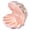 Pink, variant on O Delicate Ceramic Seashells Jewelry Tray Decorative Ring Holder Organizers For Bathroom Bedroom Dresser Home Decors