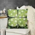 thumbnail image 2 of St Patricks Day Throw Pillow Covers, Kiss Me Irish Cushion Case Decoration for Sofa Couch, 2 of 5
