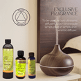 thumbnail image 2 of Mystic Romance Premium Home Fragrance Oil Scent LEMON SET 8FL+ 4FL+2FL.OZ 427 ML, 2 of 8