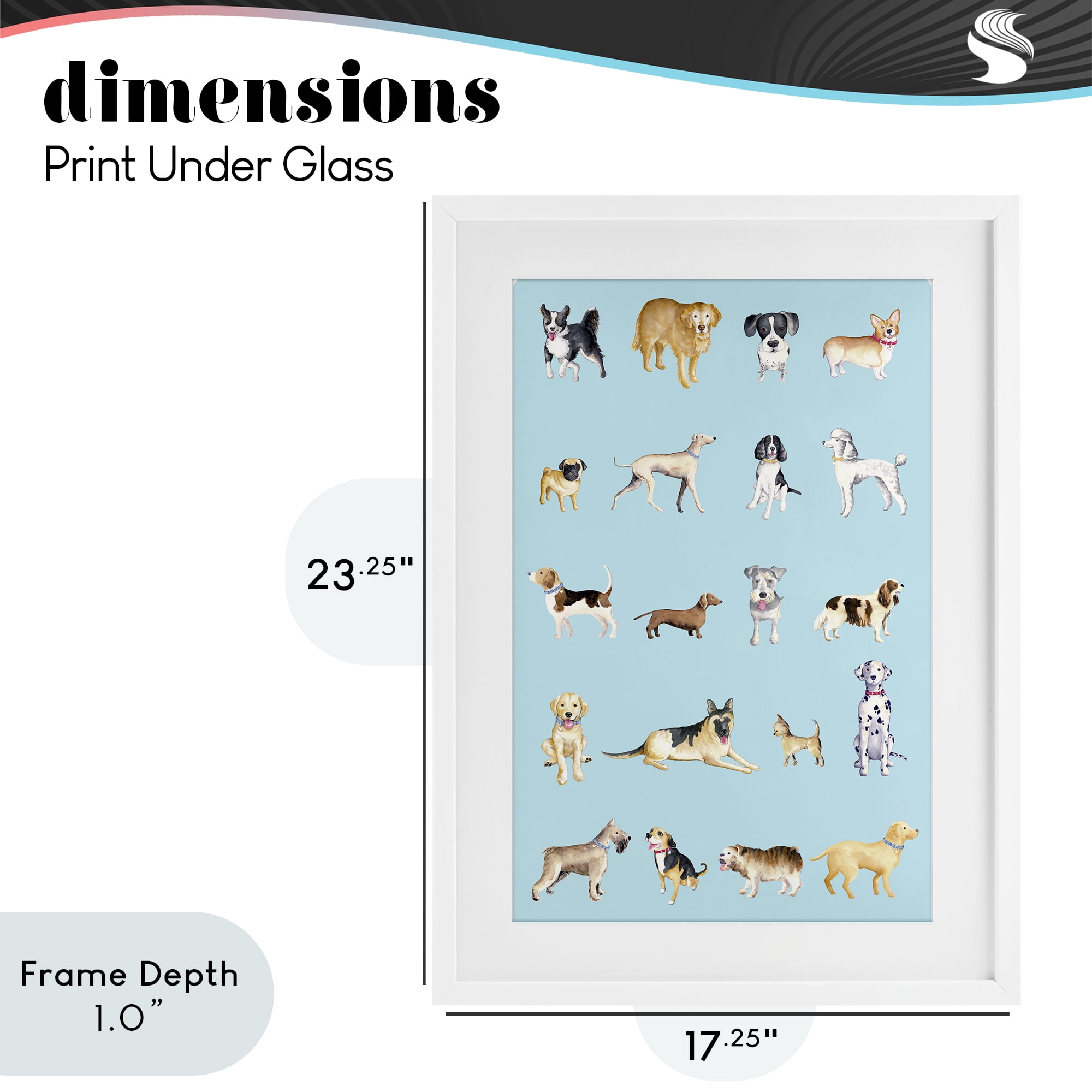 Stupell Industries Dog Breeds on Blue White Framed Print Under Glass, design by Andi Metz