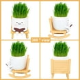 thumbnail image 6 of Rocking Chair Smiley Face Planter, Cute Plant Pots for Indoor Outdoor Plants, Succulent Pots with Drainage Hole, 6 of 8