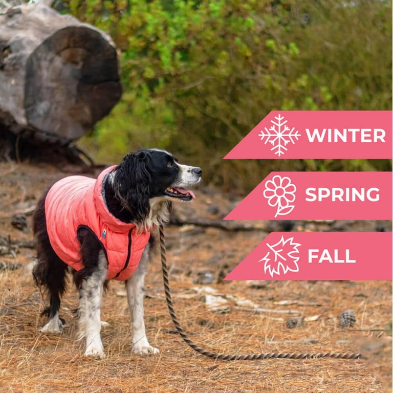 Ruffwear stumptown best sale insulated dog jacket