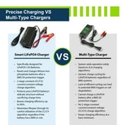 ExpertPower 12V 20A Smart Charger for Lithium LiFePO4 Deep Cycle Rechargeable Batteries…