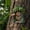 B, variant on Trovenix Elf Door Decor 2D Tree Door Garden Hanging Ornament Sculpture For Outdoor Indoor Home Wall Window Christmas Holiday Decoration