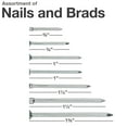 thumbnail image 2 of Qualihome Hardware Nail Assortment Kit, Includes Finish, Wire, Common, Brad and Picture Hanging Nails, 2 of 6